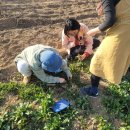 찬우물농장 이미지