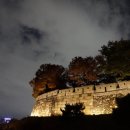 성관목장 | [한양도성 홍보순성관] 밤에는 낭만적인 한양도성 낙산성곽따라 달빛기행하기!