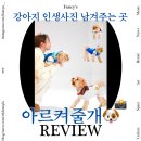 강아지 프로필 사진 촬영 후기 @스튜디오 다이브 #강아지 사진관 추천