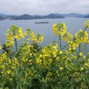 미래사 - 보령시 터미널길 18-9 | 미래사