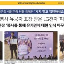 피터팬전자 이미지