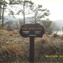 마산동할먼네집 이미지