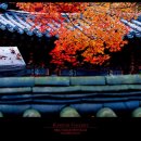 단소대금 이미지