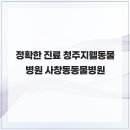 청주지웰동물병원 네이버블로그