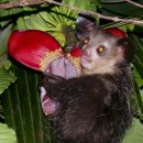 아이아이 이미지