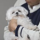 636 | 나혼산 故 꽃분이 추모, 시청자 울린 636회 감동 포인트 정리