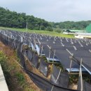 송학1리경로당 이미지