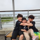 초곡합기도이루다 이미지