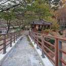 금천계곡 야영장 | 광양 금천계곡야영장 애견동반 겨울캠핑, 금천슈퍼