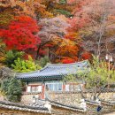 팔공산농산 | {대구시 동구} 팔공산단풍// 팔공산 파계사의 가을풍경