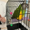 미소동물의료센터 이미지