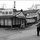 새마을이용원 티스토리