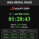 서04-413 | [2024서울레이스]서울달리기 하프 11km 후기 사진찾기