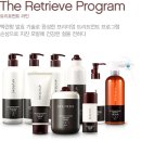 살롱드 오늘 이미지