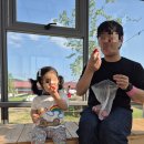 오리장식당 | [육아/가볼만한곳] 용인 포레스트벨 아기랑 딸기체험
