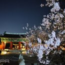 종로-현장-종로-세-169 이미지