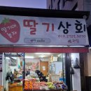 정이상회