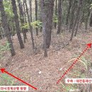 안산동(시경계) Daum카페