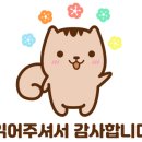 부산컴퓨터세탁소 이미지