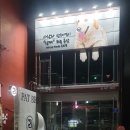 펫브로 | 부산간판-감전동스텐실간판,부산간판,부산검은색스텐실,펫브로애견샵-예쁜간판,애견샵스텐실