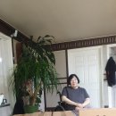 평화의집 Daum카페