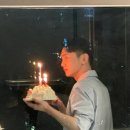 버미