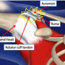 디오필라앤핏 오목교점 이미지