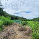 김동석농장 이미지