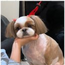 아르테미스학원 이미지