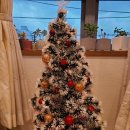 경희다원한의원 이미지