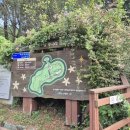 숲속파도소리 이미지