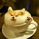 꿈꾸는 언덕 이미지