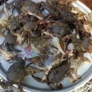 대명민박 이미지