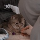 더조은 네일