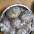 엄마손맛추어탕 이미지