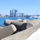 광안해변로 이미지