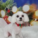 김철수미용실 이미지