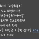 오형제좌대낚시터 이미지