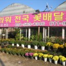 해피플라워 이미지