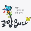 인사말 이미지 / 사랑합니다 감사합니다 이미지