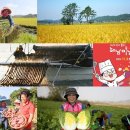 두륜산도립공원 명품 이미지