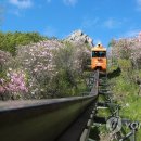 산삼휴양밸리(대봉캠핑랜드) 이미지