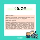 키네코어 이미지