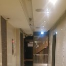 골드단란주점