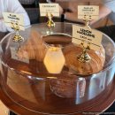 틸라 지하(THILA JIHA) | 20250904) NELL <SHADOWS> 다녀온 일기