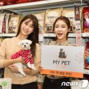 펫 클럽 이미지