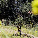 TO PC ZONE 이미지