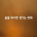 꿀물 이미지