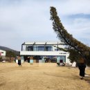 용인 양지카페) 잔디마당이 예쁜 감성 디저트카페 [인더밸리] 내돈내산 방문후기