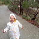 정원펜션민박 이미지